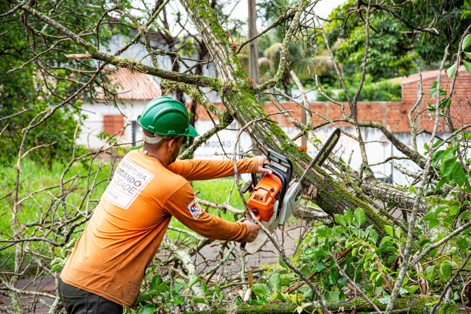 10 Situations When It’s Time to Call an Arborist Instead of Handling It Yourself